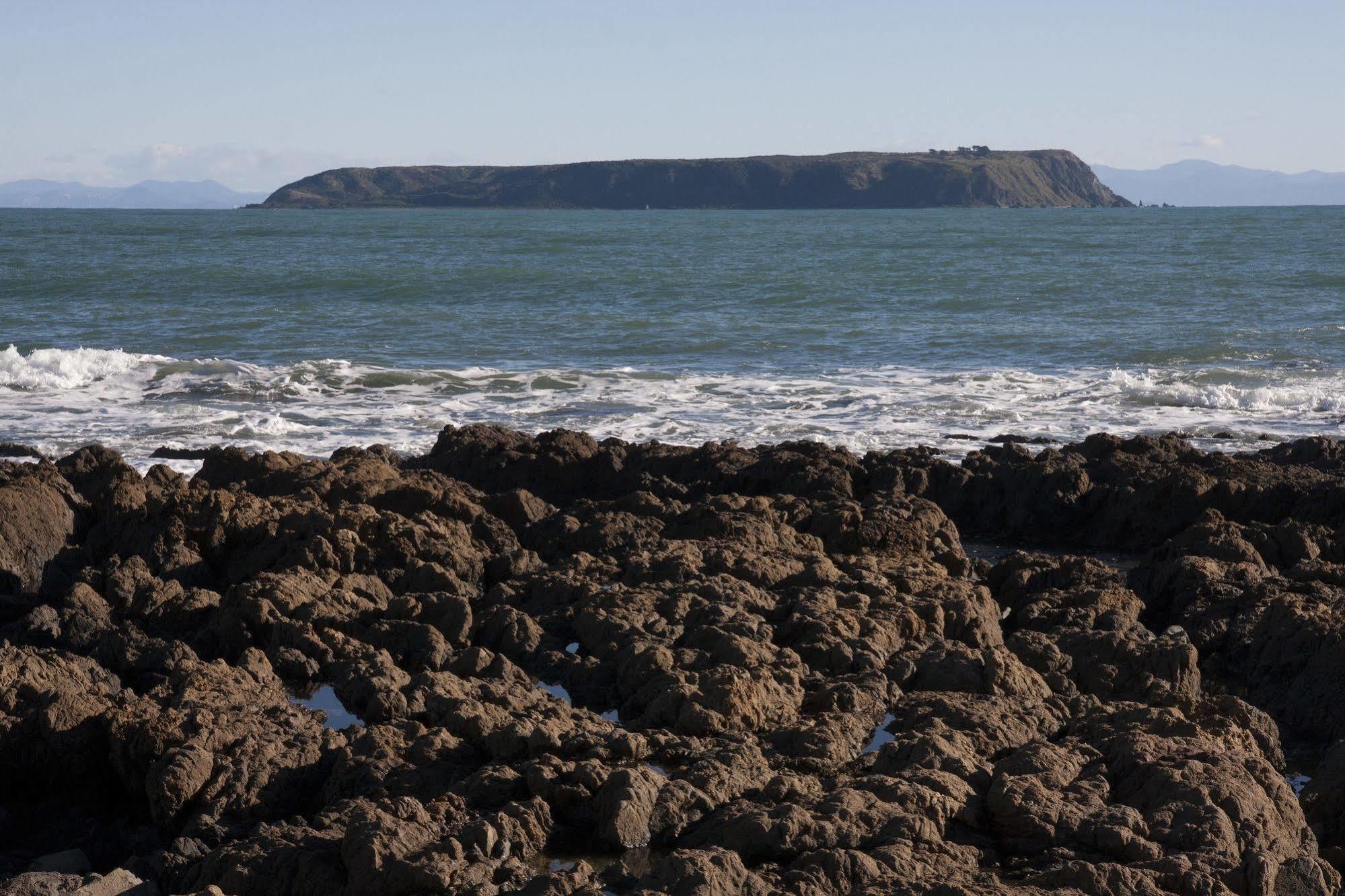 มัวน่า ลอดจ์ Hostel Plimmerton ภายนอก รูปภาพ